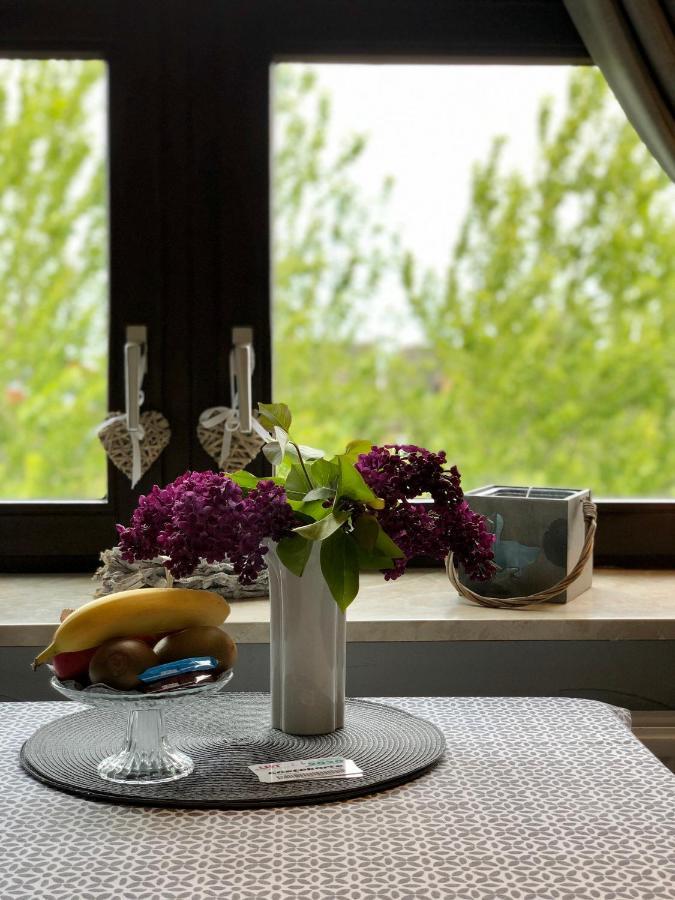 Appartements Friedrichsen ليست المظهر الخارجي الصورة